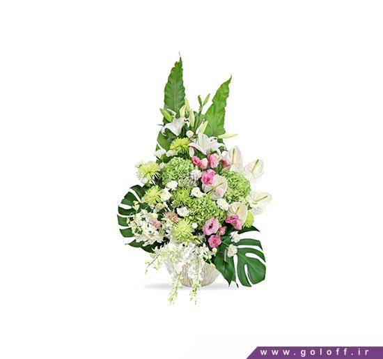خرید اینترنتی گل طبیعی -گل خواستگاری ژانیتا- Proposing Flower | گل آف